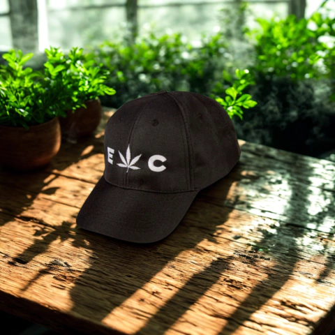 Gorra Negra Classic Expo - comprar online