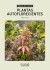 MANUAL DE CULTIVO "Plantas Autoflorecientes"