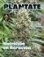 THC 130 - HELADOS DE CANNABIS - Revista THC - Tienda Online de Revistas, Libros, Merchandising y muchas cosas más.
