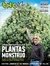 THC 36 - PLANTAS MONSTRUO