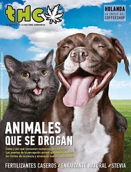 THC 47 - ANIMALES QUE SE DROGAN