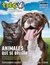 THC 47 - ANIMALES QUE SE DROGAN