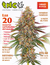 THC 125 - LAS MEJORES 20 VARIEDADES DEL MUNDO
