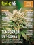 THC 163 - TEMPORADA DE FLORES