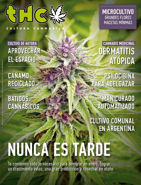 THC 162 - NUNCA ES TARDE