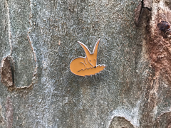 Pin Zorro del Principito