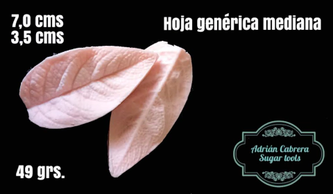 Nervador Hoja genérica mediana