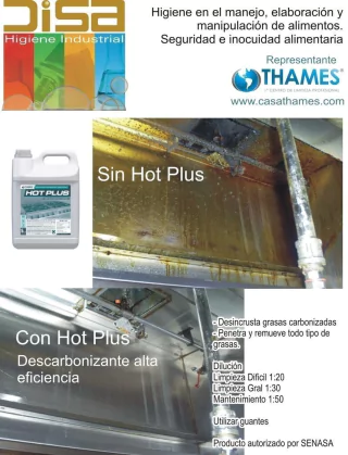 DESCARBONIZANTE HOT PLUS - comprar online