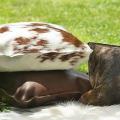 PILLOW · BROWN COWHIDE · MEDIUM - buy online