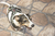 ARNÊS BRETELLE ADVENTURE - NP Nostro Pet Canisport