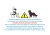 KIT SKATEJORING UNO CAMALEONTE - BRETELLE NEW HEROES - comprar online