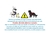 KIT SKATEJORING UNO CAMALEONTE - BRETELLE STAR TREK - comprar online