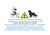 KIT SKATEJORING UNO CAMALEONTE - BRETELLE CHAPOLIN COLORADO - comprar online