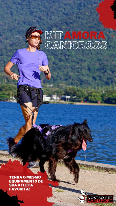 KIT CANICROSS ESPECIAL AMORA - NEW FRECCIA STANDARD - comprar online