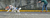 KIT SKATEJORING DUE LEGGERO