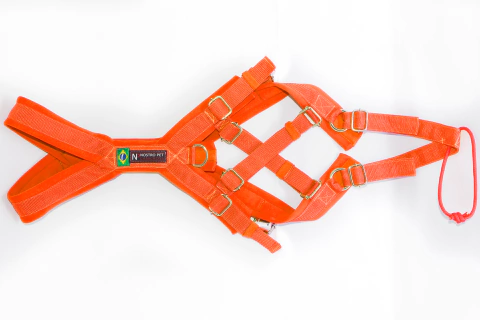 KIT BIKEJORING UNO LEGGERO - NEW FRECCIA VITALE (SEM ANTENA DE PROTEÇÃO) - loja online