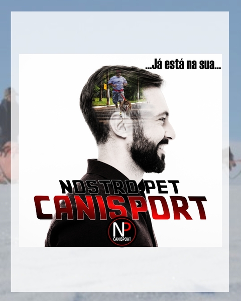Carrossel 1