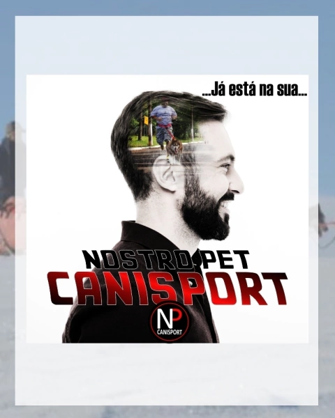 Carrossel 1