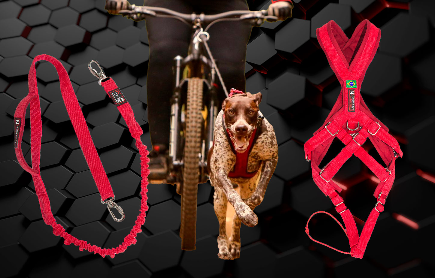 Kit Bikejoring