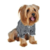 CAMISA SOCIAL BILLY PARA CACHORRO GATO