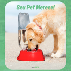 Bebedouro Quadrado N°1 450 Ml - loja online