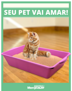 Bandeja BigBox 20 Litros - loja online