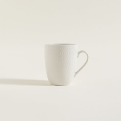 Taza Jónica en internet