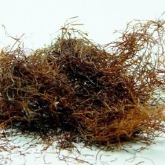 Barba de choclo (diurético, depurativo) APANA - 50 gr en internet