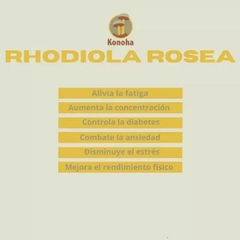 Extracto de Rhodiola KONOHA - 100 ml - comprar online