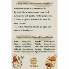 Extracto de Ashwagandha KONOHA - 100 ml en internet