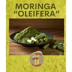 Moringa (Super food) KONOHA - 60 cáps.