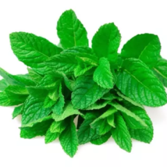 Menta (estimulante, vías respiratorias) APANA - 50 gr