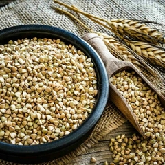 TRIGO SARRACENO PELADO "Semillas Gauchas" - 500g - comprar online
