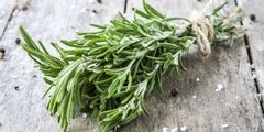 TOMILLO SERRANO DE TRASLASIERRA - PRAMA - 50gr