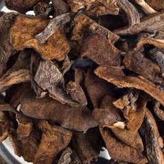 Hongos de Pino (agroecológicos) MOLINO EL DRAGÓN - 25 gr