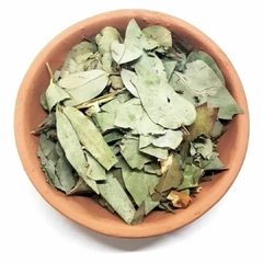 Eucalipto - APANA - 50 gr