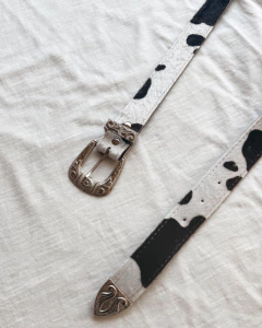 CINTO BASTIAN en internet