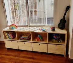 Organizador Elsa