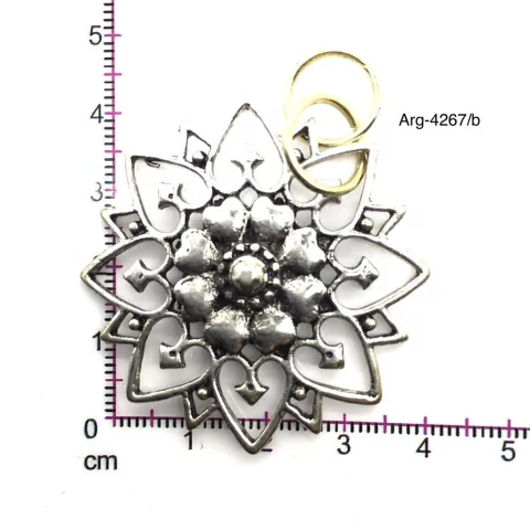 Arg-4267