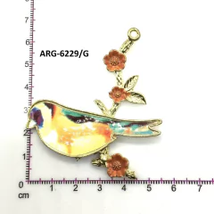 Arg-6229
