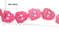 PIEDRA RECONSTITUIDA 11 PCS en internet
