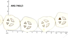 PIEDRA RECONSTITUIDA 11 PCS en internet