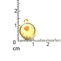 Imagen de Dijes Religioso Niquel Con Dome X 5 Unidad ( ARG-9030/N/11 )