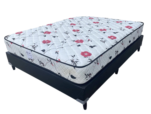 Conjunto Cannon Soñar 2 Plazas Resortes (Con Box Alternativo)