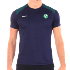 Remera Microfibra Irlanda Team #330 - comprar online