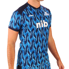 Camiseta Blues en internet