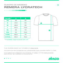 Remera Deportiva Lycra Tech Argentina Gris #850 - Imago Deportes