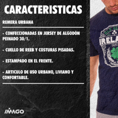 Remera Springboks Gris - Imago Deportes