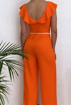 Mono Aurelia naranja en internet