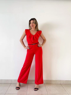 Mono Aurelia rojo en internet